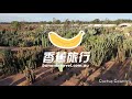 拍照去！澳大利亚墨尔本周边网红ins打卡胜地 仙人掌王国 cactus country