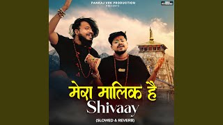 Mera Maalik Hai Shivaay (Slowed & Reverb)