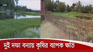 গাইবান্ধায় দুই দফা বন্যায় কৃষির ব্যাপক ক্ষতি | পানি নামতে শুরু করায় বেরিয়ে আসছে ক্ষত চিহ্ন 10Aug.20