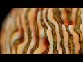 Create an abstract satisfying loop in Blender with geometry nodes! | Blender tutorial