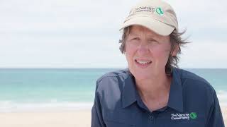 Expanding shellfish reefs at O'Sullivan Beach - A Reef Builder project