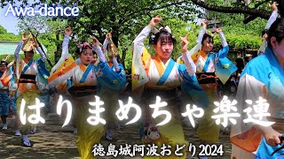 はりま めちゃ楽連 【徳島城 阿波踊り2024】 Awa-dance/お花見広場