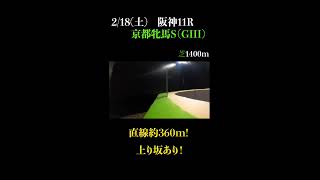 【オススメの１頭】京都牝馬ステークス(ＧⅢ) 2023