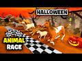 HALLOWEEN ANIMAL RACE | Elephant, Zebra, Tiger, Camel, Horse, Sheep | Planet Zoo Race | Animal Race