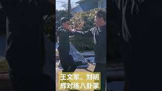 八卦掌对练（王文军与刘明辉）