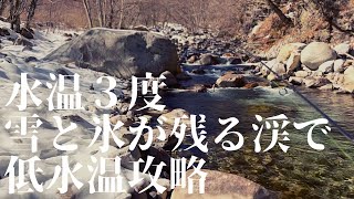 【天竜川水系・ルアー】2023解禁！低水温・低活性のイワナをいかに釣るか