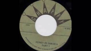 Bumps Jackson - Funky In Jamaica Part 1 (Drum Break - Loop)