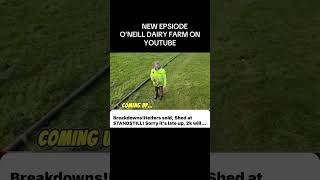 Dairy farm weekly episode out now #dairyfarming