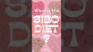 What Is the SIBO Diet?