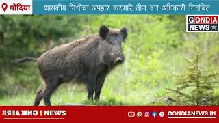 GONDIA NEWS  शासकीय निधीचा अपहार करणारे तीन वन अधिकारी एकाच दिवशी निलंबित