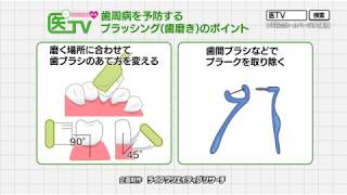 【歯周病】歯周病　全身への影響と予防対策について