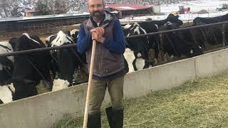 Five Freedoms Dairyman Kevin McSweeney