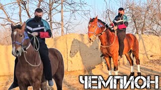 СОЛОХИДДИН ПОЛВОНДАН ТОЙНИГ ЧЕМПИОН СОТИЛАДИ  !..