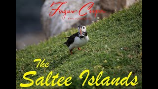 The Saltee Islands