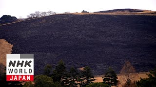 Mt. Wakakusa black as jet - The 72 Pentads of Yamato