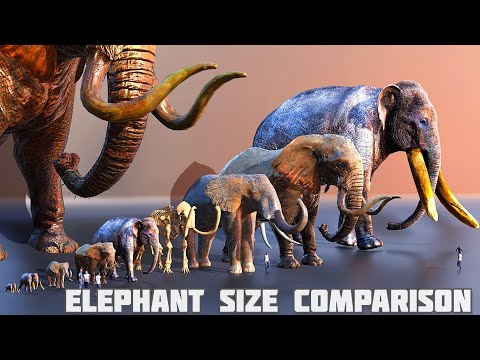 Is a mastodon bigger than an elephant?