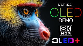 OLED TEST - Spectacular Landscapes in 8K HDR | Dolby Vision™