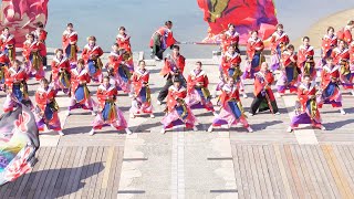 [4K] 紀州龍神　泉州YOSAKOIゑぇじゃないか祭り2022