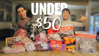 1 MONTH of RAW FOOD DIET FOR UNDER $50 | Budget Friendly Raw Food Diet for DOGS 2021