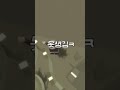 리믹스하면 댓글 달아드려요 추천 알고리즘 알고리즘아부탁해 로블록스 roblox