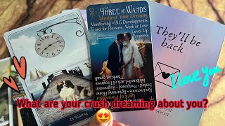 What are your crush dreaming about you?👩‍❤️‍💋‍👨 Hindi tarot card reading💞Crush current feelings