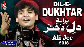 Ali Jee | Dil e Dukhtar | 2013 | علی جی شگفت انگیز بچه پاکستان