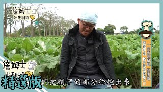 《精選:詹姆士棒的》牛蒡出產過程竟然鮮徒手挖土? 這樣料理吃出牛蒡的鮮甜