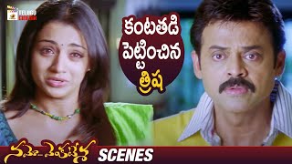 Trisha Gets Emotional with Venkatesh | Namo Venkatesa Telugu Full Movie | Brahmanandam | Prudhviraj