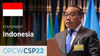 Indonesia Statement by Mr I Gusti Agung Wesaka Puja at CSP-22