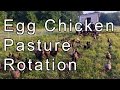 Laying Hens Pasture Rotation