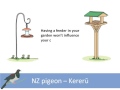 kererū the story so far. new zealand garden bird survey 2007 2015