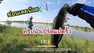 ช่อนเตยน้อย กัดระเบิด🎣#ทริบน้าเบิร์ดแปดริ้ว