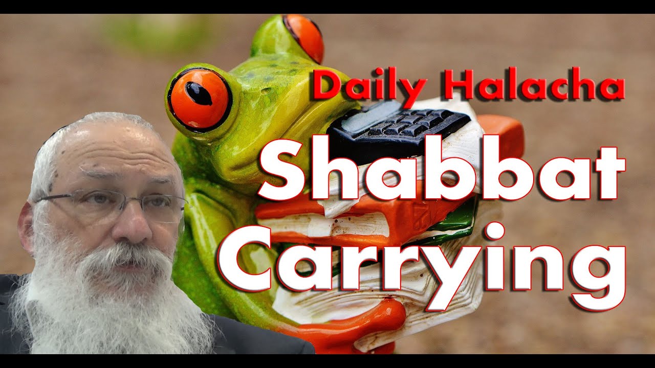 Halachos Of Shabbat | Daily Halacha Classes | Carrying 1 |Different ...