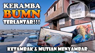 MANCING DI BUMN (Badan Usaha Milik Negara)