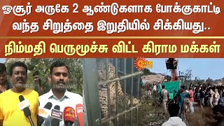 Leopard | Caught | Hosur | Villagers | Relief | Krishnagiri district | Sun news