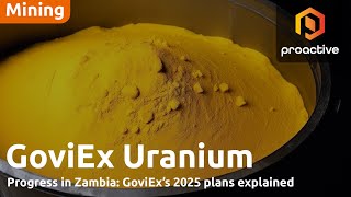 GoviEx Uranium CEO on 'pivotal' year for company; upcoming 2025 milestones