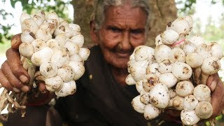 Mushroom Recipe || Traditional Mushroom Curry By Granny Mastanamma