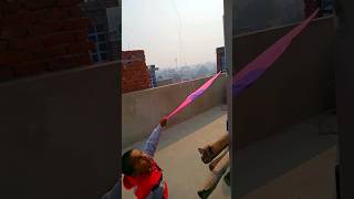 Kite looting 🔥on this top roof🤩 with little brother 😺 I'm kite lover's😍#kiteflyi