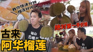 【不怕吃到贵榴莲❌ 绝对第一手价格就在古来的「Ah Hua Durian 阿华榴莲」包吃买回家甚至批发都不是问题‼】