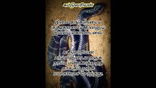 கட்டுவரியன்#பாம்பு#snake#india#tamil#விசம்#wildanimal#shorts