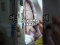 실제사연 아내가 1달동안 여기 를 가겠다는데 정상인가요