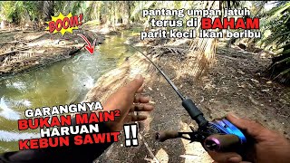 casting haruan !!. MELATOP.. tali 20lbs pun putus. gasak bertubi tubi sambaran haruan kebun sawit.