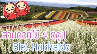 สวนดอกไม้ที่สวยที่สุดในเกาะ Hokkaido !