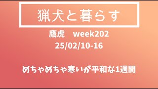 「猟犬と暮らす」week202