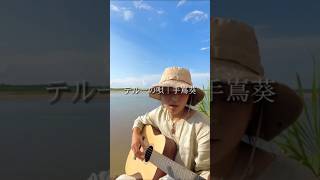 【#テルーの唄 ｜#手嶌葵 】 #歌ってみた #弾き語り #cover