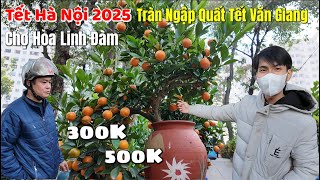 Tết Hà Nội 2025 Chợ Hoa Linh Đàm | Tràn Ngập Quất Tết Văn Giang Hưng Yên Kết Hợp Bình Gốm Làng Nghề