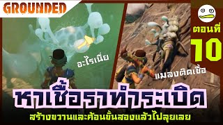 Grounded ไทย | หาเชื้อราทำระเบิด ตอนที่ 10