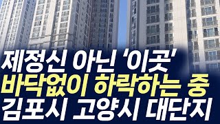 김포시 고양시 대단지 아파트,제정신 아닌 '이곳' 바닥없이 하락하는 중(부동산 아파트 미분양 분양권 입주권 재개발 재건축)