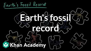 Earth's fossil record | Evolution | Middle school biology | Khan Academy