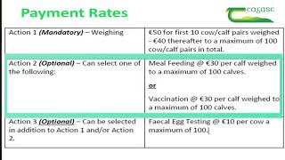 2020 BEEP-S Suckler Cow Scheme information